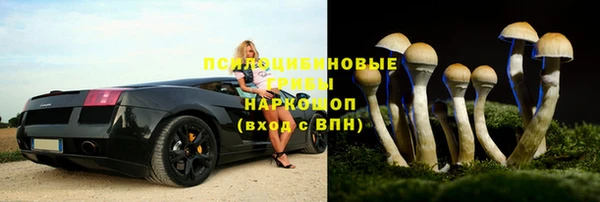 а пвп мука Покачи