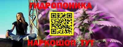 сатива Кумертау