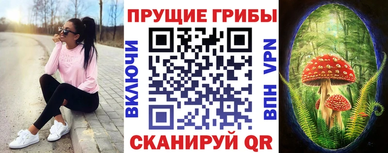 Псилоцибиновые грибы MAGIC MUSHROOMS Владикавказ