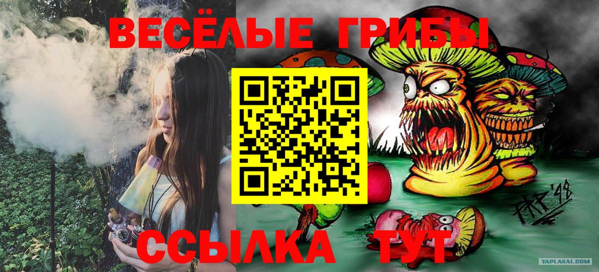 Владикавказ  Галлюциногенные грибы MAGIC MUSHROOMS  Вход с VPN 
