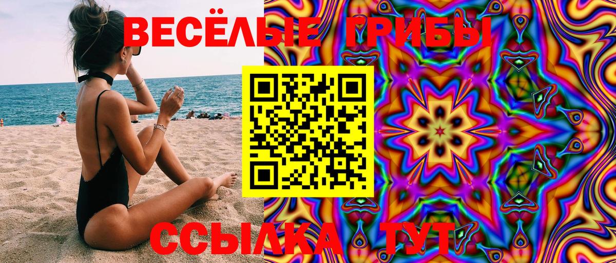 Псилоцибиновые грибы GOLDEN TEACHER Владикавказ